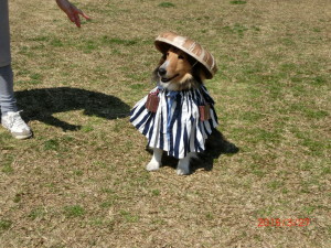 CIMG1440 - コピー