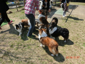 CIMG1428 - コピー