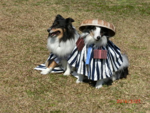 CIMG1430 - コピー